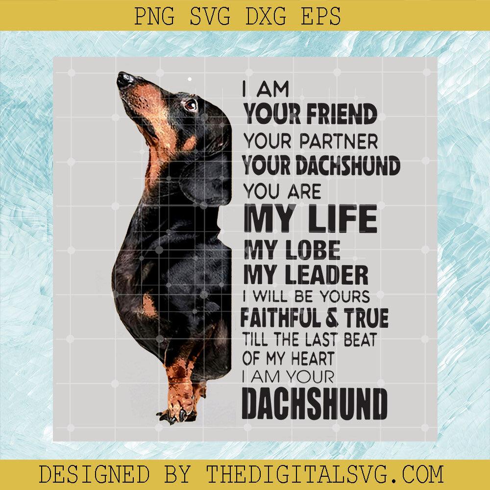 #Dachshund Svg, Cute Dog Svg, Dog Lover Svg, I Am Your Friend Your Partner Svg - TheDigitalSVG