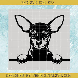 Min Pin Miniature Pinscher Dog Peekaboo SVG, Dog Miniture Pinscher SVG, Dog American SVG - TheDigitalSVG