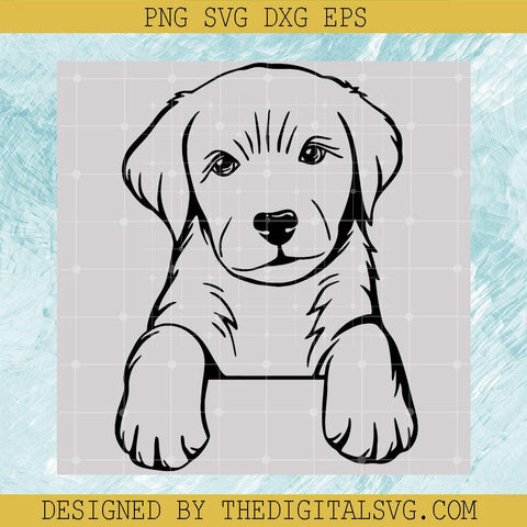 Labrador Svg, Labrador Retriever Svg, Labrador Digital Svg, Dog Svg - TheDigitalSVG